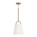 100W 1-Light Medium E-26 Incandescent Pendant in Aged Brass