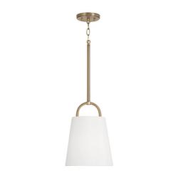 100W 1-Light Medium E-26 Incandescent Pendant in Aged Brass