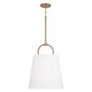 100W 1-Light Medium E-26 Incandescent Pendant in Aged Brass