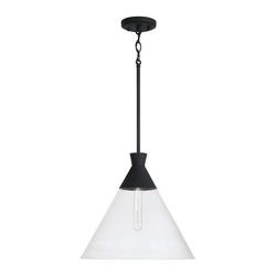 100W 1-Light Medium E-26 Incandescent Pendant Light in Textured Black