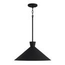100W 1-Light Medium E-26 Incandescent Pendant in Textured Black