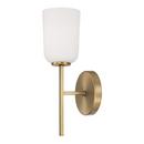 1 LIGHT SCONCE 
