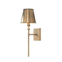 60W 1-Light 18-3/4 in. Wall Sconce in Aged Brass