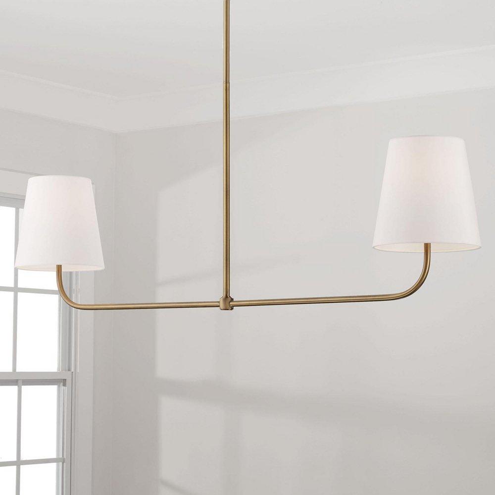 Capital Lighting Aged Brass 100W 2-Light Medium E-26 Incandescent Pendant 