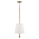 Capital Lighting Aged Brass 100W 2-Light Medium E-26 Incandescent Pendant 