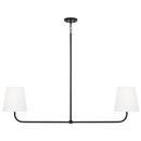 100W 2-Light Medium E-26 Incandescent Pendant in Matte Black