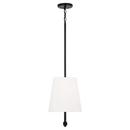 Capital Lighting Matte Black 100W 2-Light Medium E-26 Incandescent Pendant 