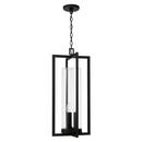 Capital Lighting Black 60W 3-Light Candelabra E-12 Incandescent Outdoor Pendant 