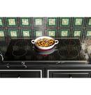 30 in. 5 Burner Radiant Cooktop in Black 