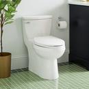 1.28 gpf Elongated One Piece Skirted Toilet in White