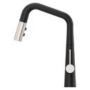 Pfister Matte Black/Spot Defense Stainless Steel Single Handle Pull Down Kitchen Faucet 