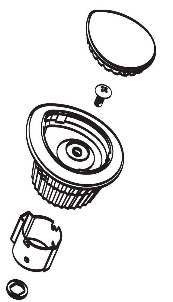 Moen Polished Brass 2-1/2 in. Plastic Handle Kit 