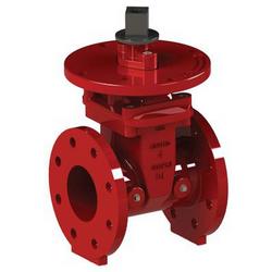 3 in. Flanged Ductile Iron Resilient Wedge Gate Valve