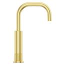 Single Handle Lever Bar Faucet in Brushed Gold 