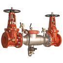 Ames Fire & Waterworks Stainless Steel 300 Stainless Steel Flanged Backflow Preventer