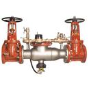 6 in. 300 Stainless Steel Flanged Backflow Preventer