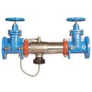 Ames Fire & Waterworks Stainless Steel 304 Stainless Steel Flanged Backflow Preventer 