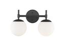 2-Light Vanity Fixture in Matte Black 