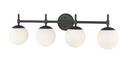 4-Light Vanity Fixture in Matte Black 
