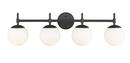 4-Light Vanity Fixture in Matte Black 