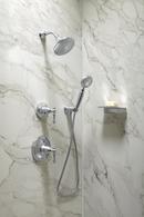 KOHLER Polished Chrome Single Function Hand Shower 