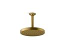 KOHLER Vibrant&reg; Brushed Moderne Brass Single Function Showerhead 