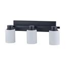 60W 3-Light Vanity Fixture in Matte Black 