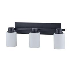 60W 3-Light Vanity Fixture in Matte Black