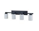 60W 4-Light Vanity Fixture in Matte Black 