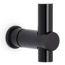 Robe Hook in Black/Matte Black 