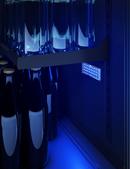 24 in. Single Zone Under Cabinet Kegerator & Beverage Cooler in Stainless Steel with Reversible Door 