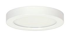 9 in x 67/100 in. 13W 1-Light Integrated LED Flush Mount Ceiling Fixture in White