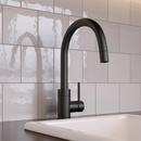 Signature Hardware Matte Black Single Handle Pull Down Bar Faucet 