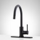 Signature Hardware Matte Black Single Handle Pull Down Bar Faucet 