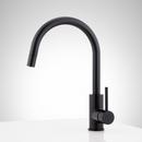 Signature Hardware Matte Black Single Handle Pull Down Bar Faucet 