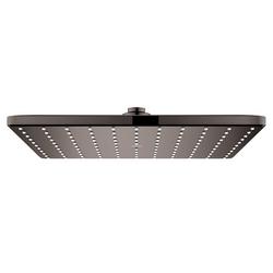 Single Function Showerhead in Hard Graphite