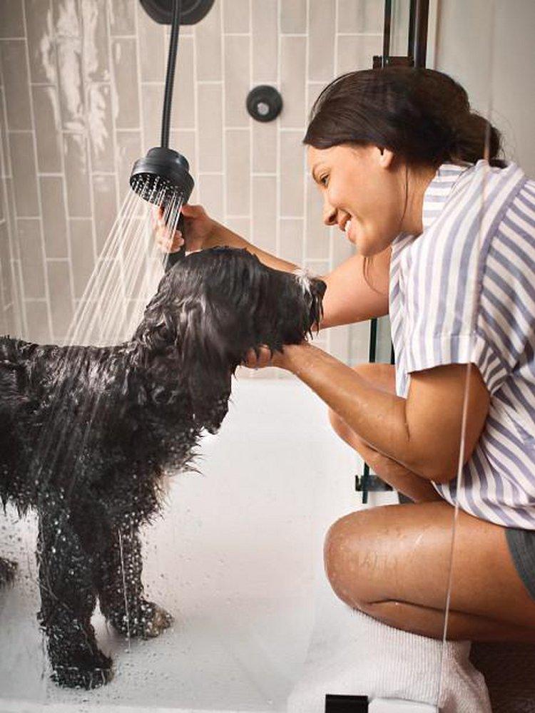 Moen Matte Black Multi Function Showerhead 