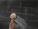 Multi Function Hand Shower in Lumicoat Champagne Bronze 