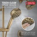 Delta Faucet Lumicoat® Champagne Bronze Multi Function Hand Shower 