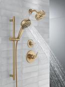 Delta Faucet Lumicoat® Champagne Bronze Multi Function Hand Shower 