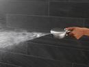 Delta Faucet Lumicoat&reg; Stainless Multi Function Hand Shower 
