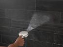 Delta Faucet Lumicoat&reg; Stainless Multi Function Hand Shower 