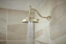 BRIZO INVARI 11 ANGLED SHOWER ARM AND FLANGE 