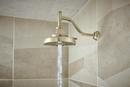 BRIZO INVARI 11 ANGLED SHOWER ARM AND FLANGE 