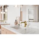 Pfister Brushed Gold Single Handle Monoblock Bathroom Sink Faucet 