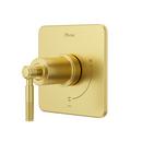 Pfister Brushed Gold Single Handle Bathtub & Shower Faucet (Trim Only) 