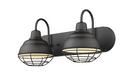 2-Light Vanity Fixture in Matte Black 