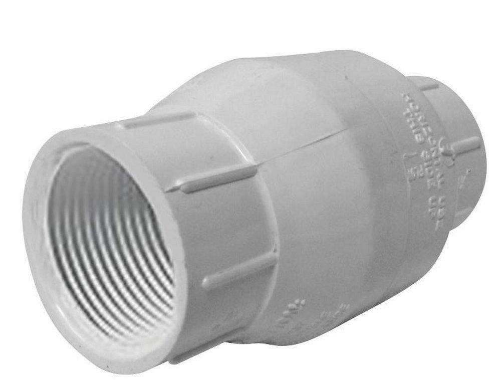 NDS White Plastic FPT Spring Check Valve 