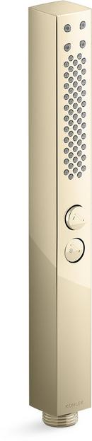 Dual Function Hand Shower in Vibrant French Gold (Shower Hose Sold Separately)