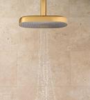 KOHLER Vibrant Brushed Bronze Multi Function Full, Massage and Rain Head Showerhead 